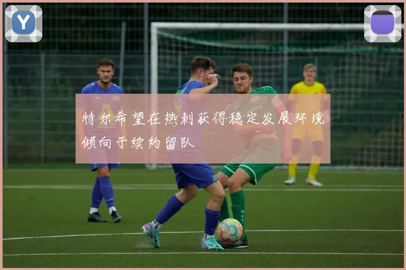 特尔希望在热刺获得稳定发展环境倾向于续约留队