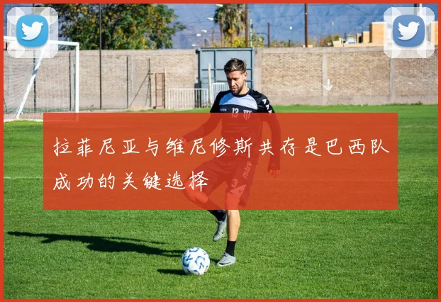 拉菲尼亚与维尼修斯共存是巴西队成功的关键选择